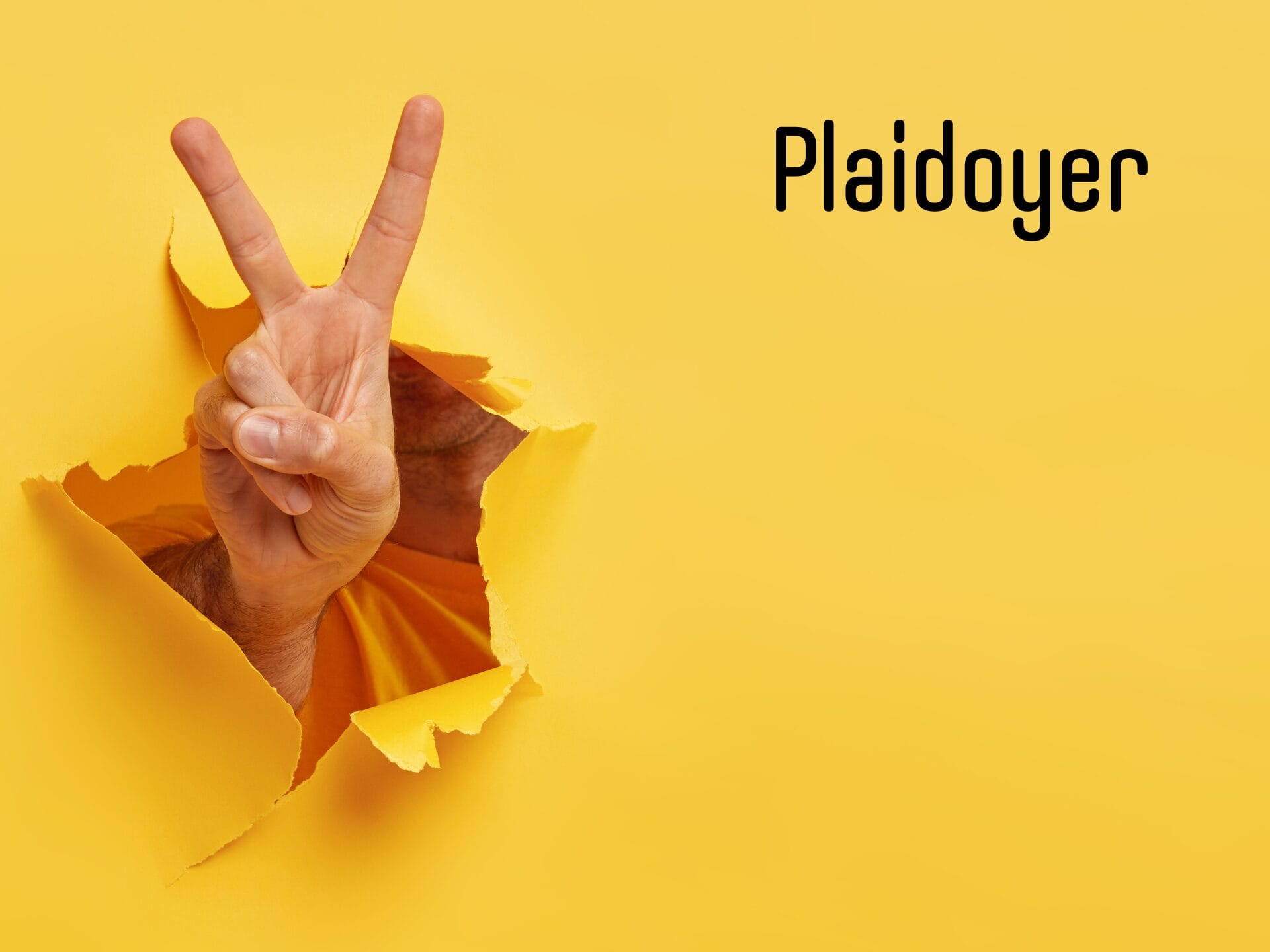 Plaidoyer Volontariat Plaidoyer Volontariat