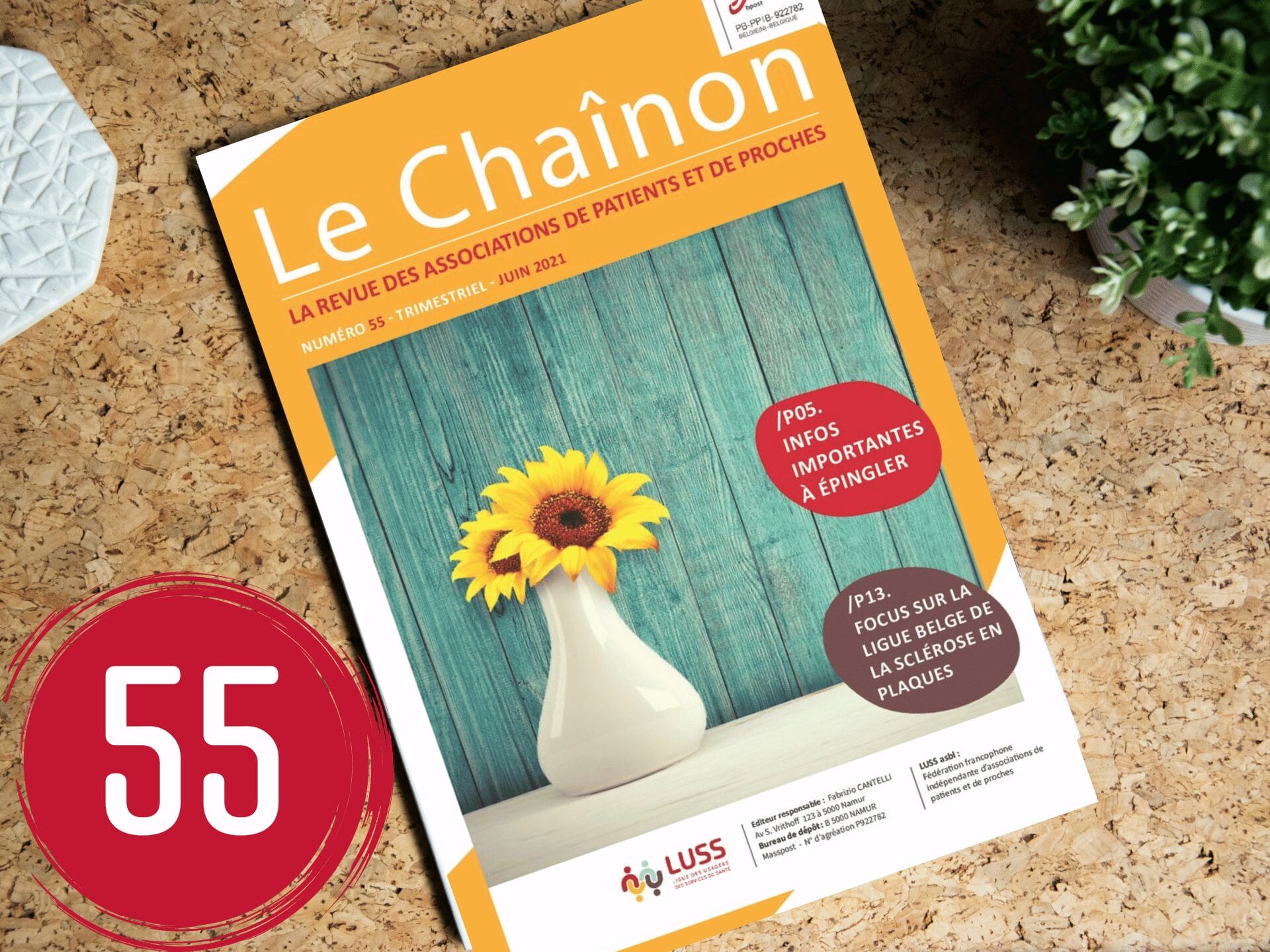Le chainon 55 Le chainon 55