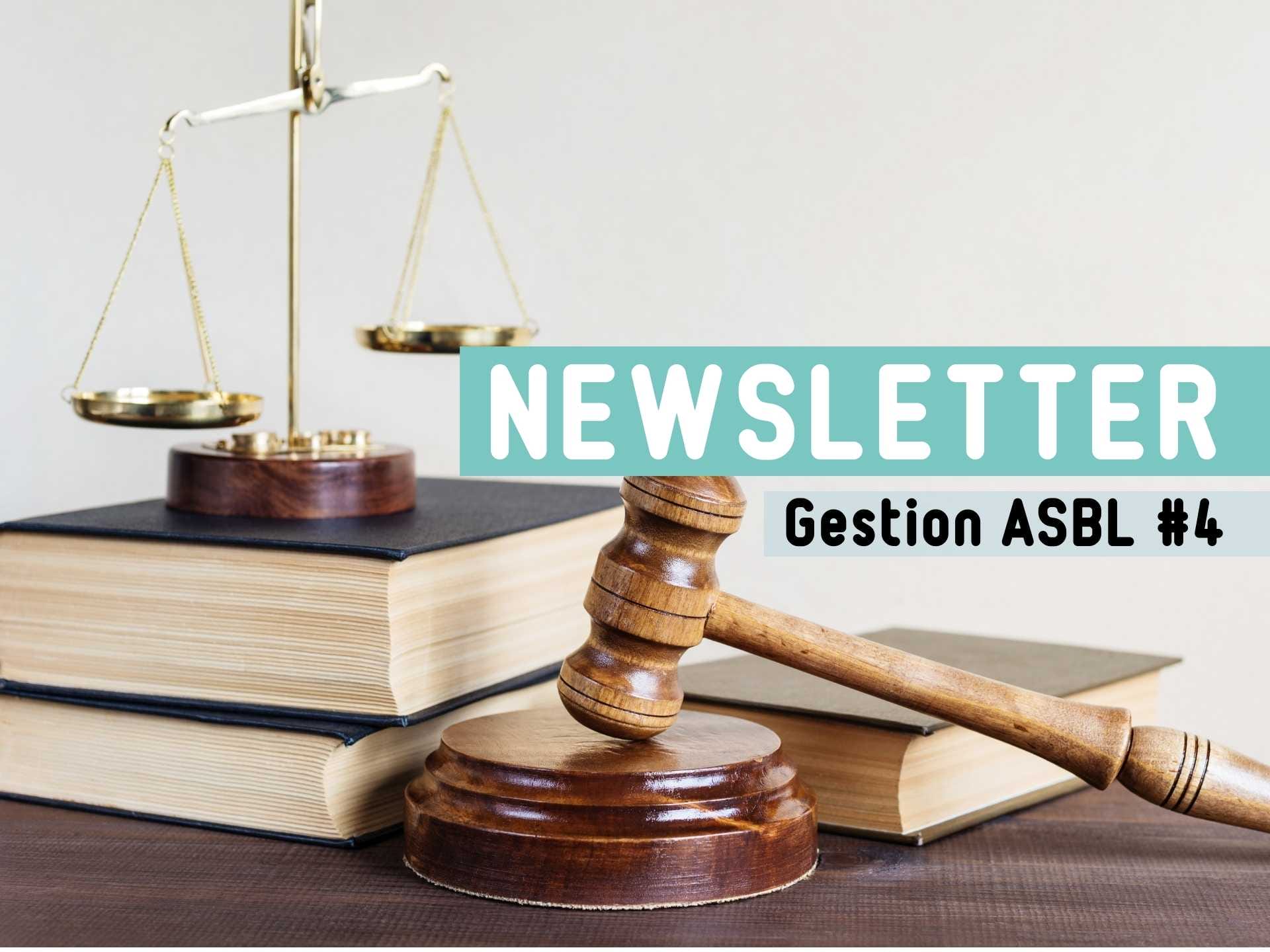Newsletter Gestion ASBL 4 Newsletter Gestion ASBL 4