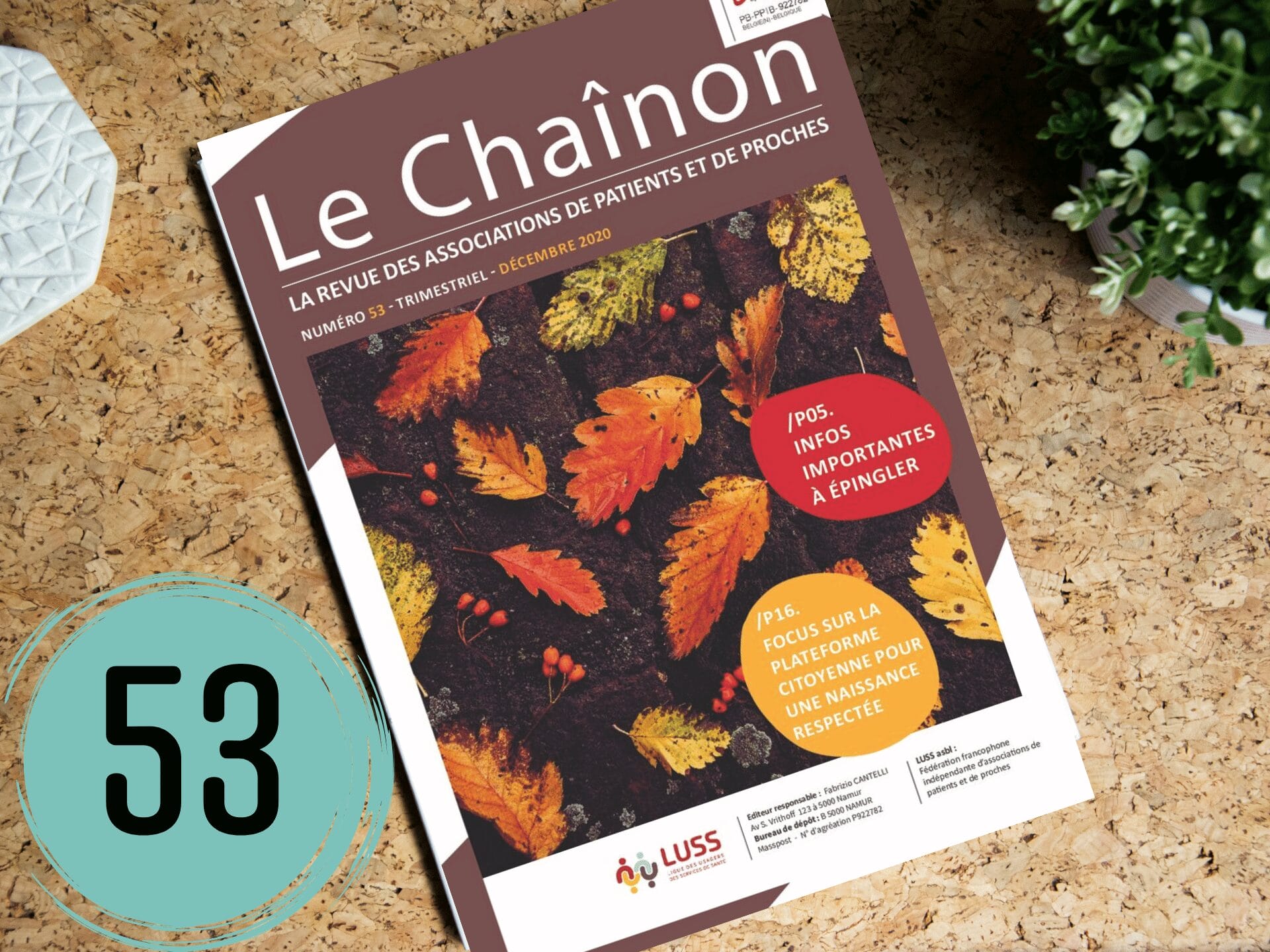 le chainon 53 le chainon 53