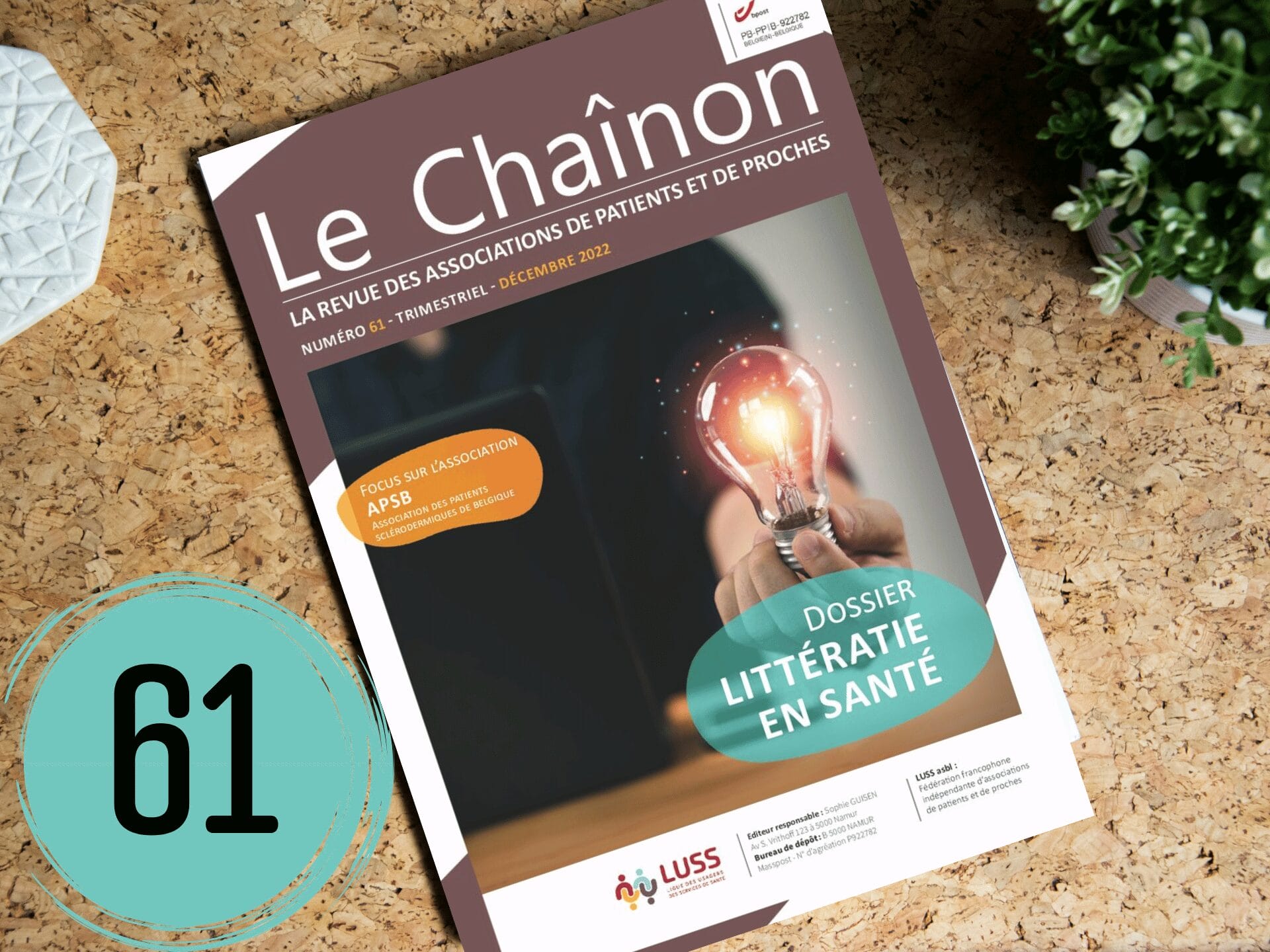 le chainon 61 le chainon 61